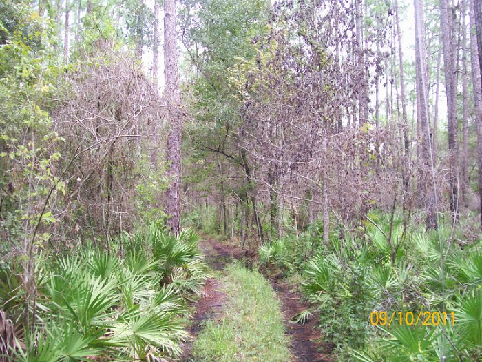 2011-Sep-10_HGR4X4_RichloamBB 053